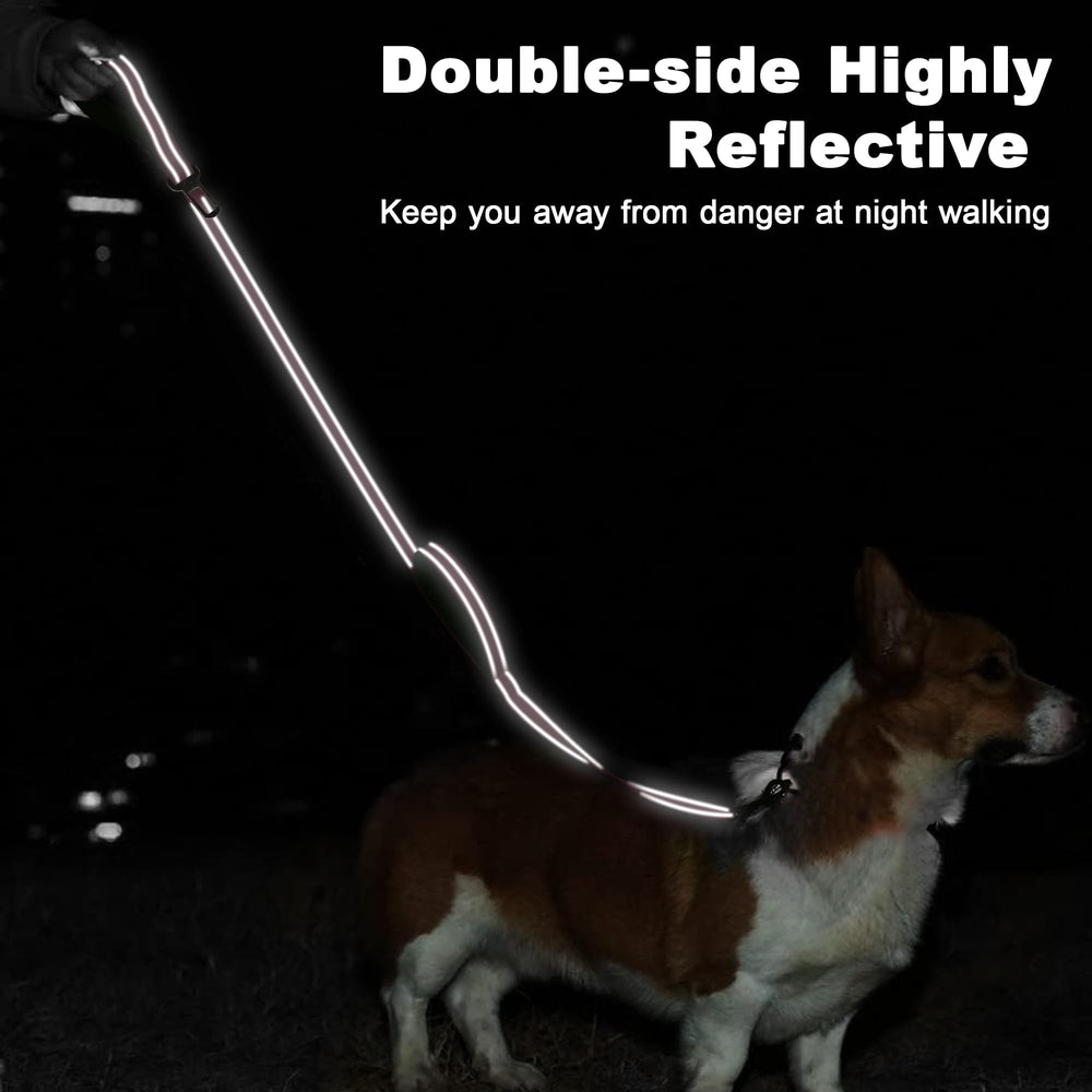 Tpotato heavy-duty nylon leash with double stitching for long-lasting durability