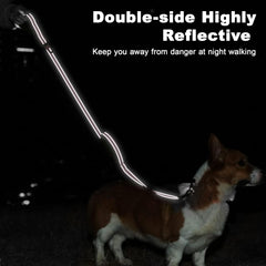 Tpotato heavy-duty nylon leash with double stitching for long-lasting durability