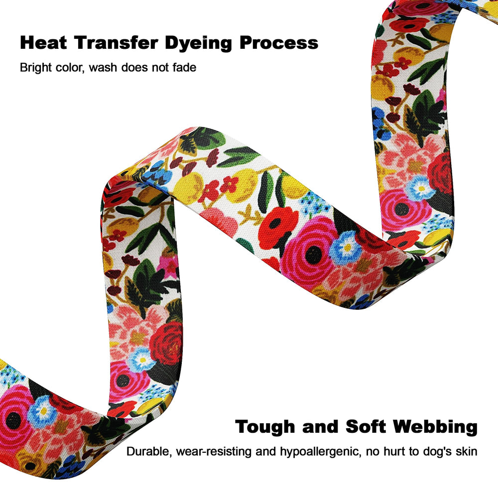 Tpotato soft nylon and polyester collar for daily comfort.