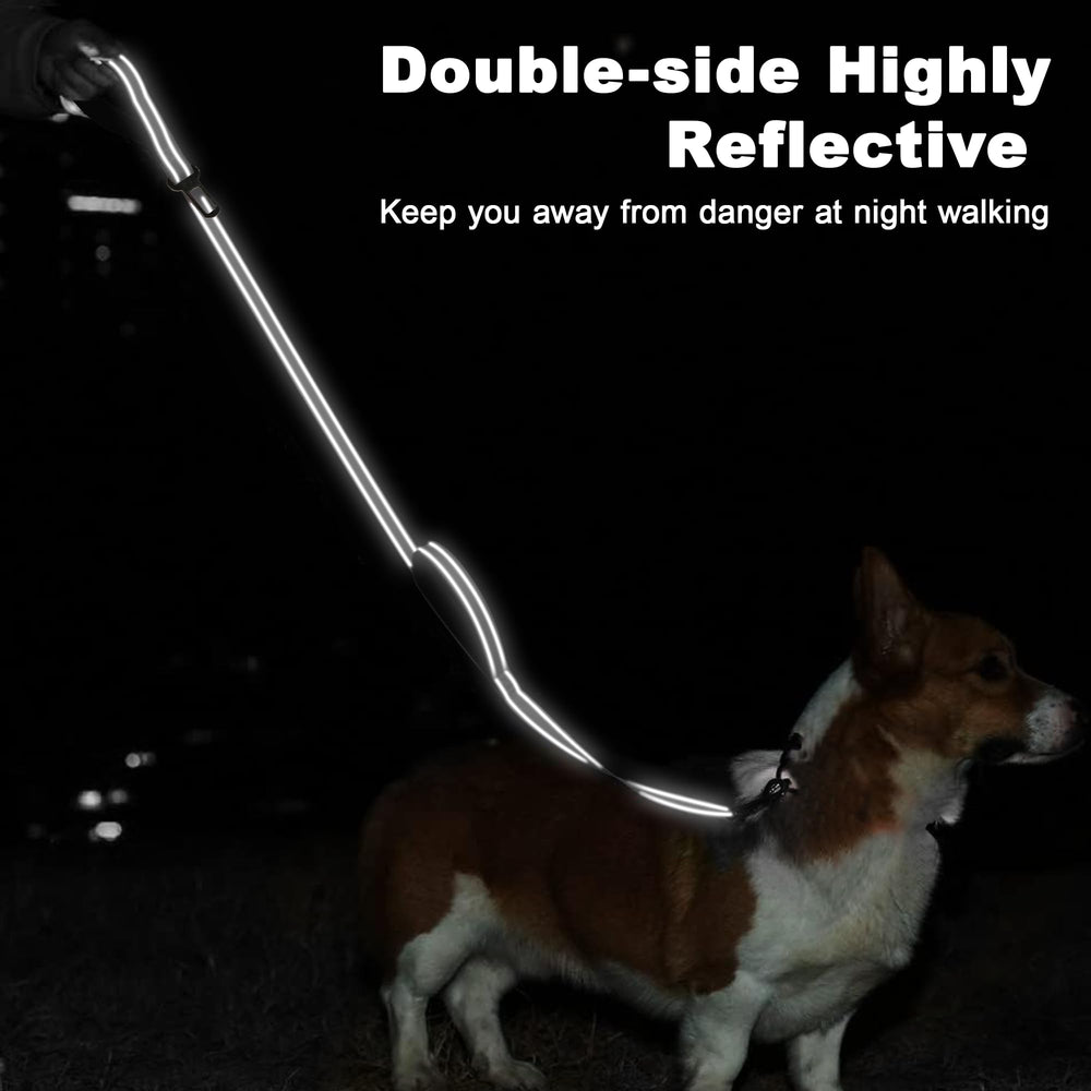 Tpotato sturdy nylon dog leash with durable construction for training and daily use