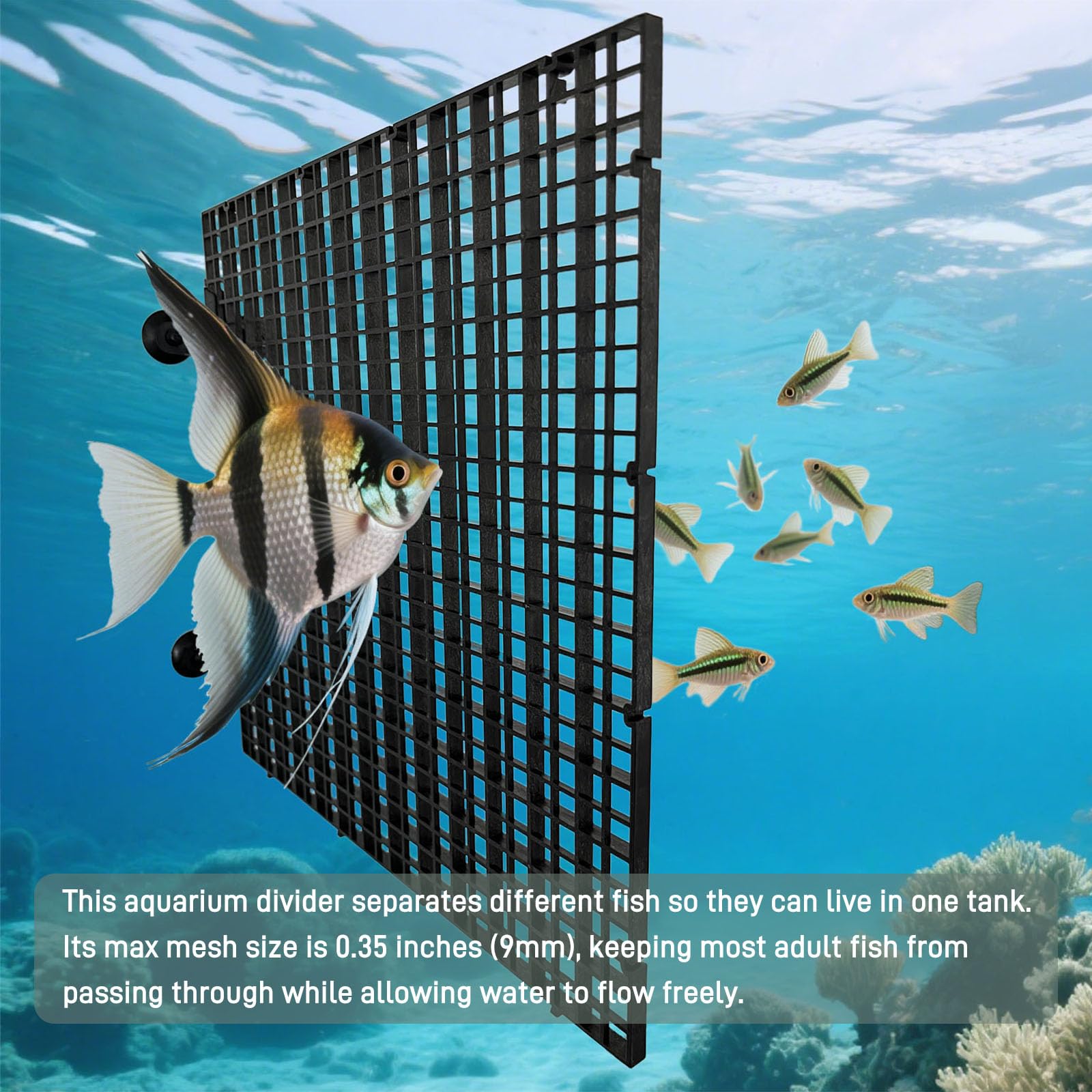 TQDXZA small grid holes promote water flow while keeping fish separated