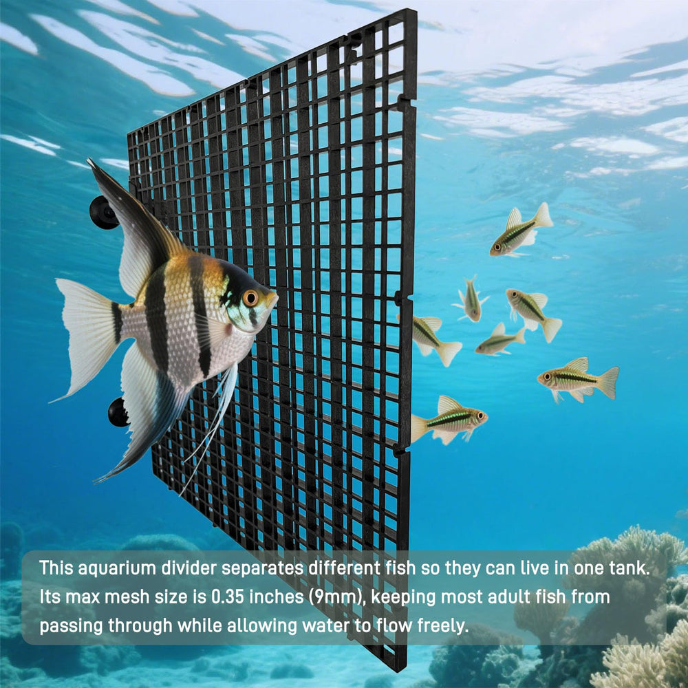 TQDXZA small grid holes promote water flow while keeping fish separated