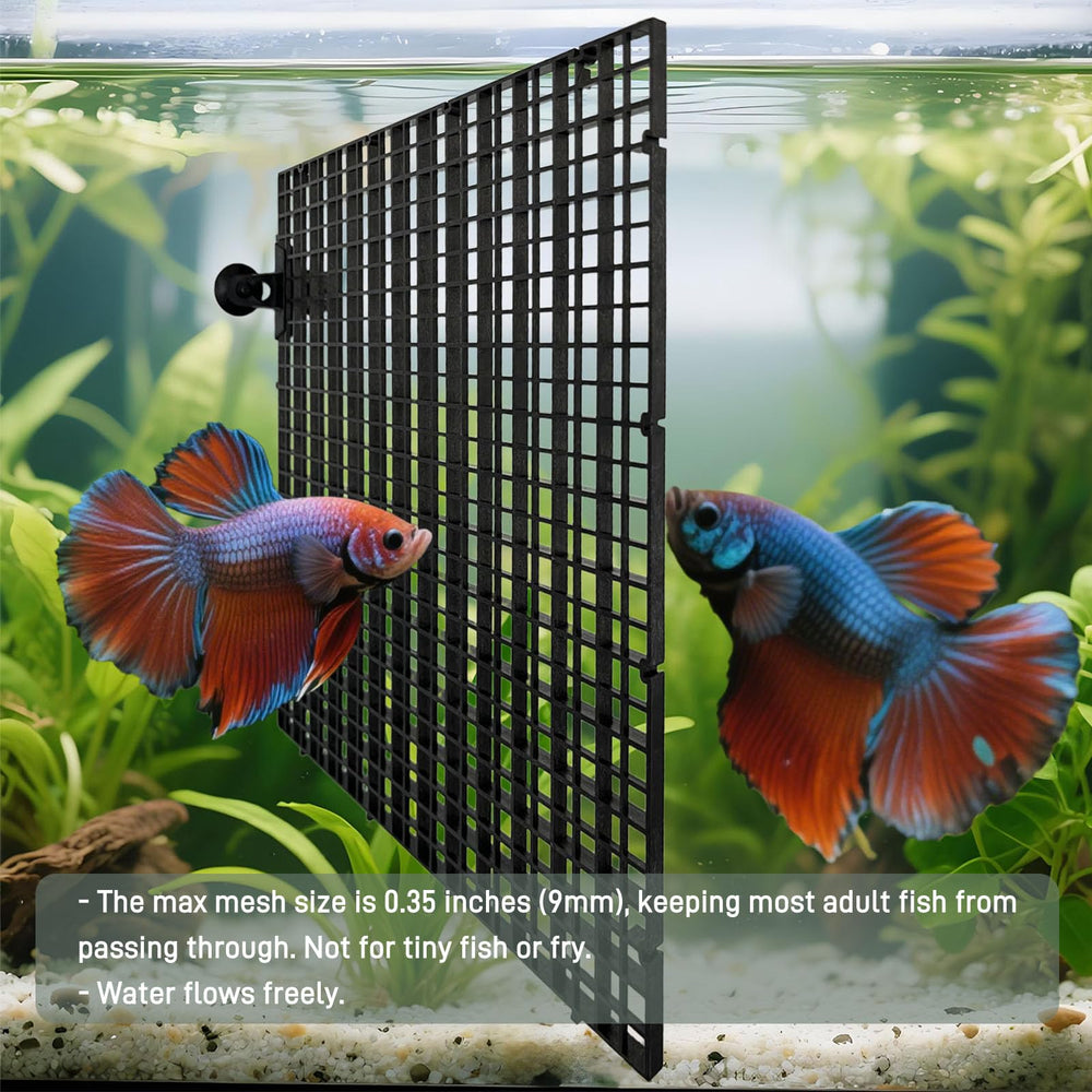 TQDXZA versatile divider doubles as breeder area or tank lid support