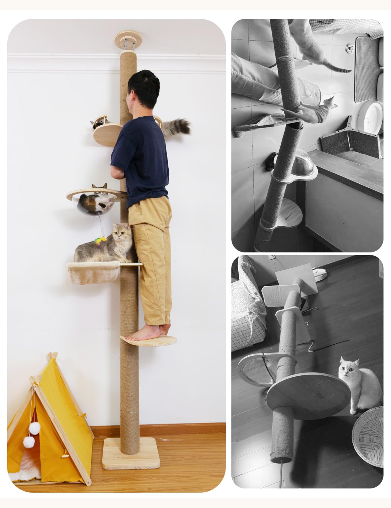 TQEW supports large cats with adjustable height 55-119 inches for varied play