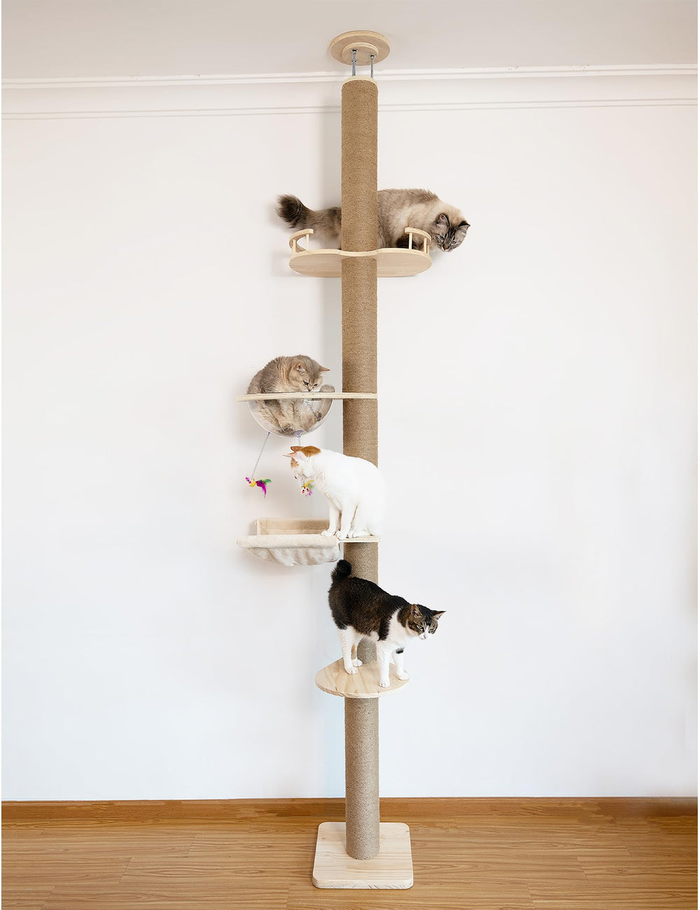 TQEW Floor-to-Ceiling Cat Tree fully assembled, promotes climbing and exploration for big cats