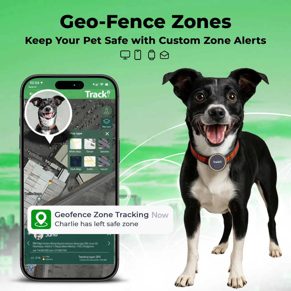 Tracki dog GPS tracker chase-mode-5-second-updates delivers rapid location updates during play.