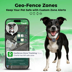 Tracki dog GPS tracker chase-mode-5-second-updates delivers rapid location updates during play.