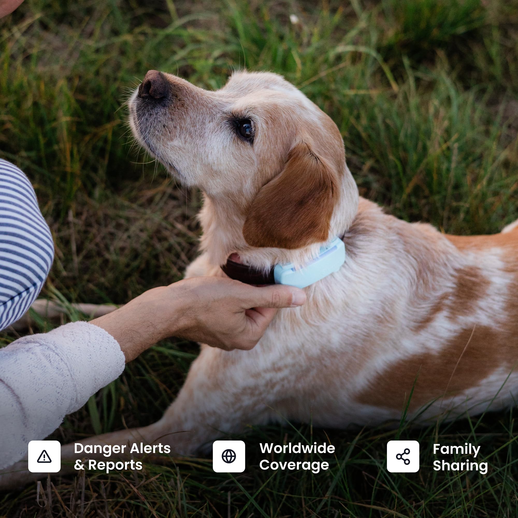 Tractive brighter LED and louder sound improve tracking visibility in low light.