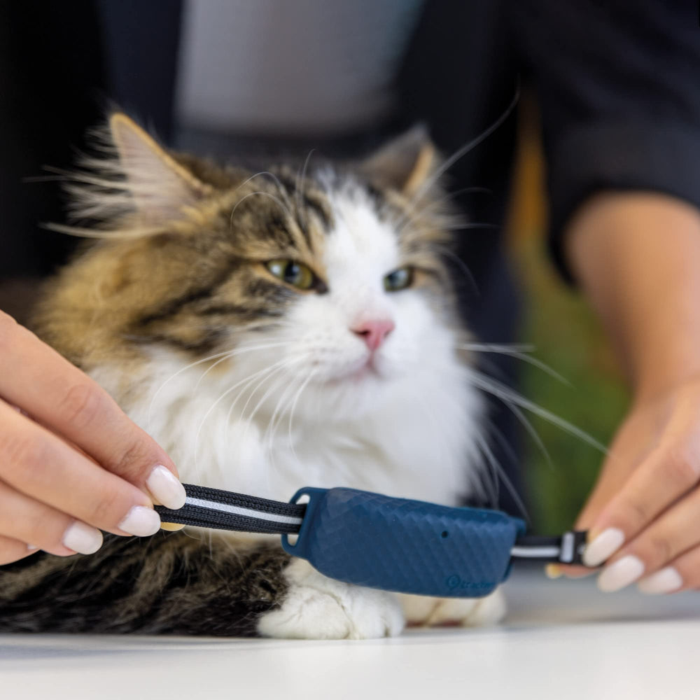 Tractive GPS CAT 4 collar attachment secures your tracker firmly against daily cat activities