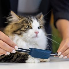 Tractive GPS CAT 4 collar attachment secures your tracker firmly against daily cat activities