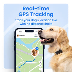 Tractive live-location-updates highlight unlimited range and rapid tracking in any location.