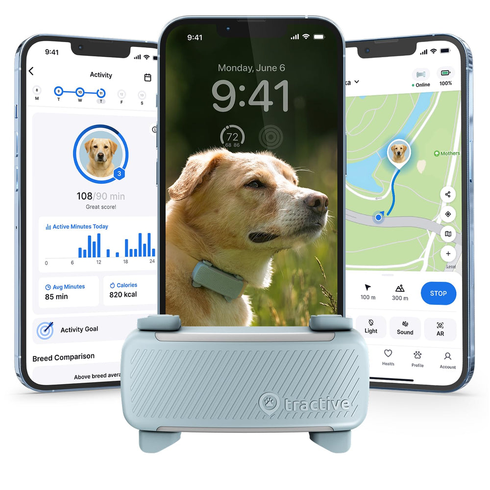 Tractive smart dog GPS tracker overview shows real-time locating capability and global tracking.