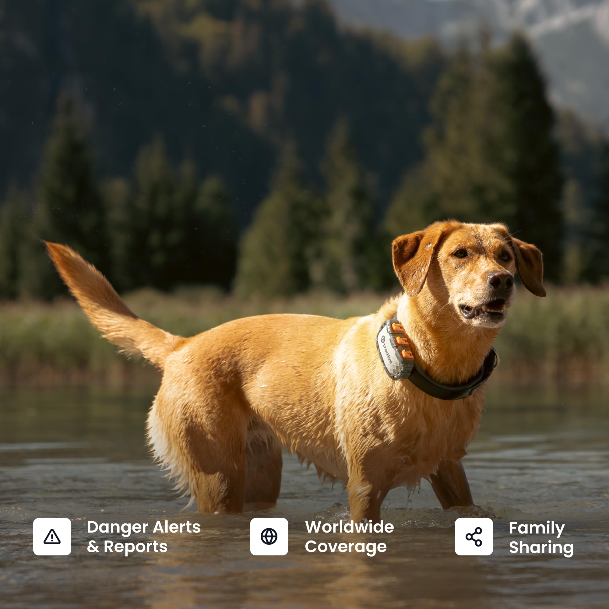 Tractive XL battery life lasts up to a month for extended trips.