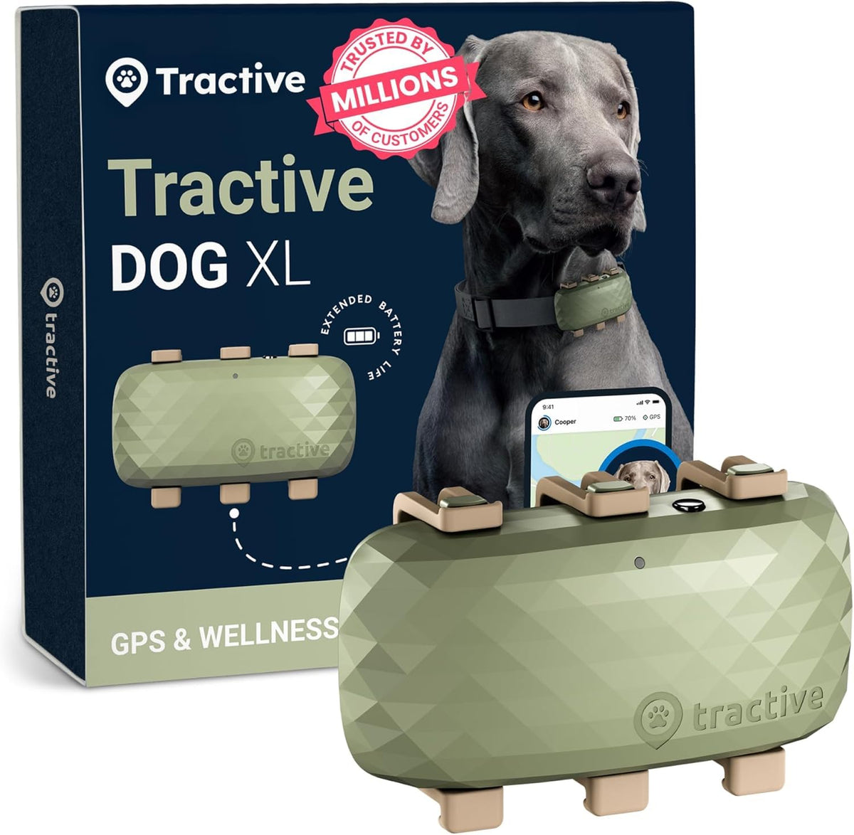 Tractive XL GPS tracker on dog collar providing real-time location updates.