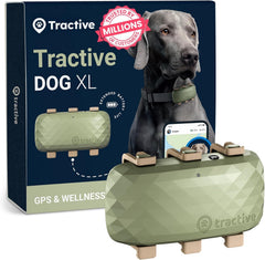 Tractive XL GPS tracker on dog collar providing real-time location updates.