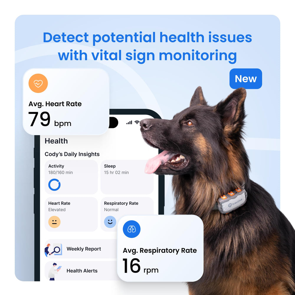 Tractive XL health, sleep and activity tracking informs routine care decisions.