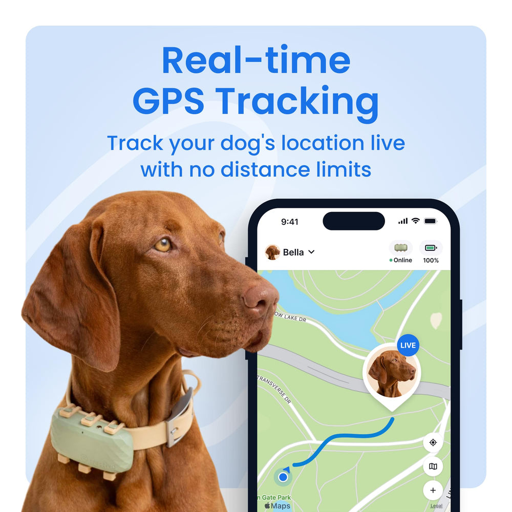 Live location map view showing Tractive XL global tracking capabilities.