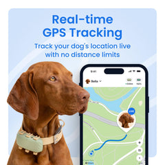 Live location map view showing Tractive XL global tracking capabilities.