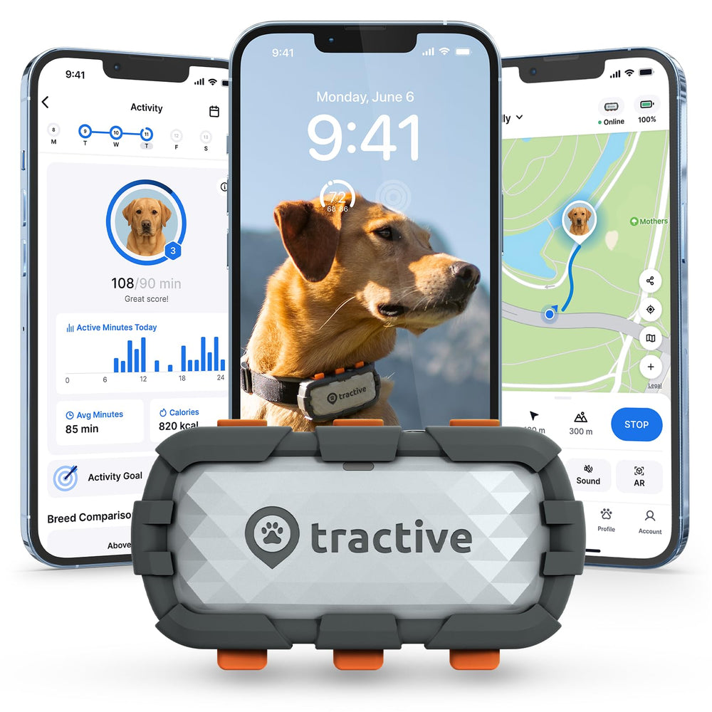 Tractive XL live-tracking shows constant location updates for peace of mind.