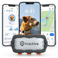 Tractive XL live-tracking shows constant location updates for peace of mind.