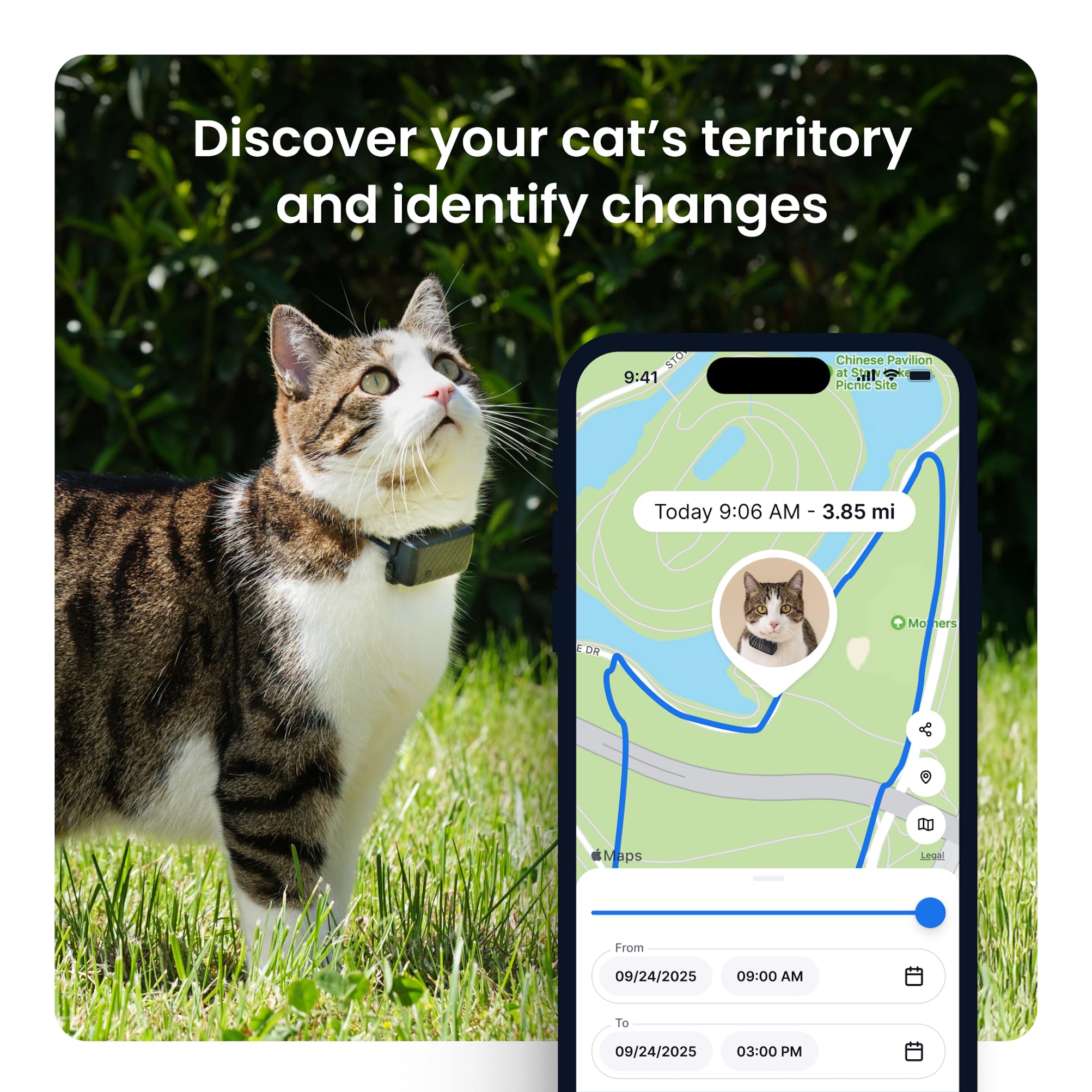 Tractive XL virtual fence alert image showing immediate safety-zone notifications.