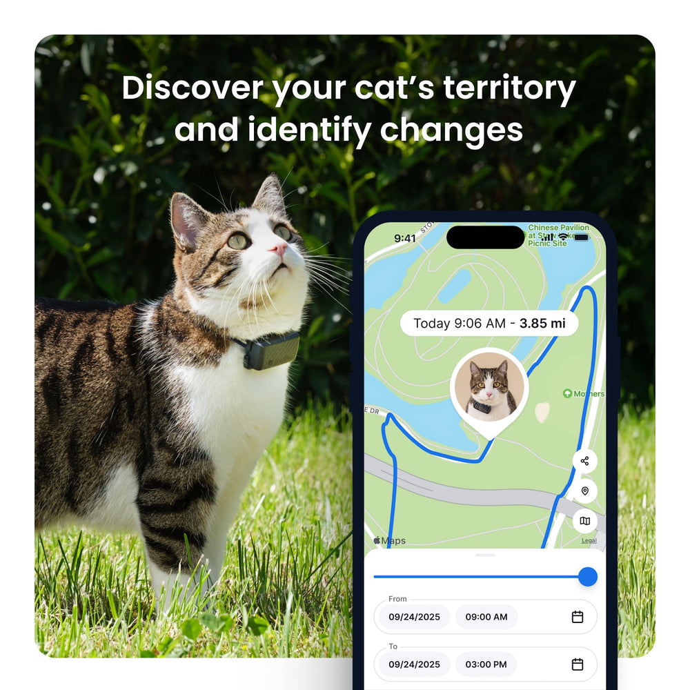 Tractive XL virtual fence alert image showing immediate safety-zone notifications.