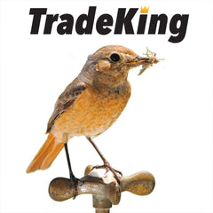 TradeKing freeze-dried crickets close-up: nutrients preserved, longer shelf life