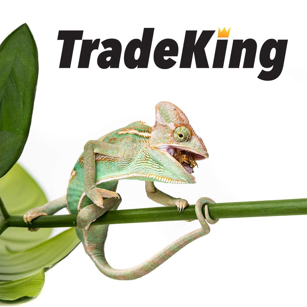 TradeKing resealable bag packaging: keeps freshness intact and handy