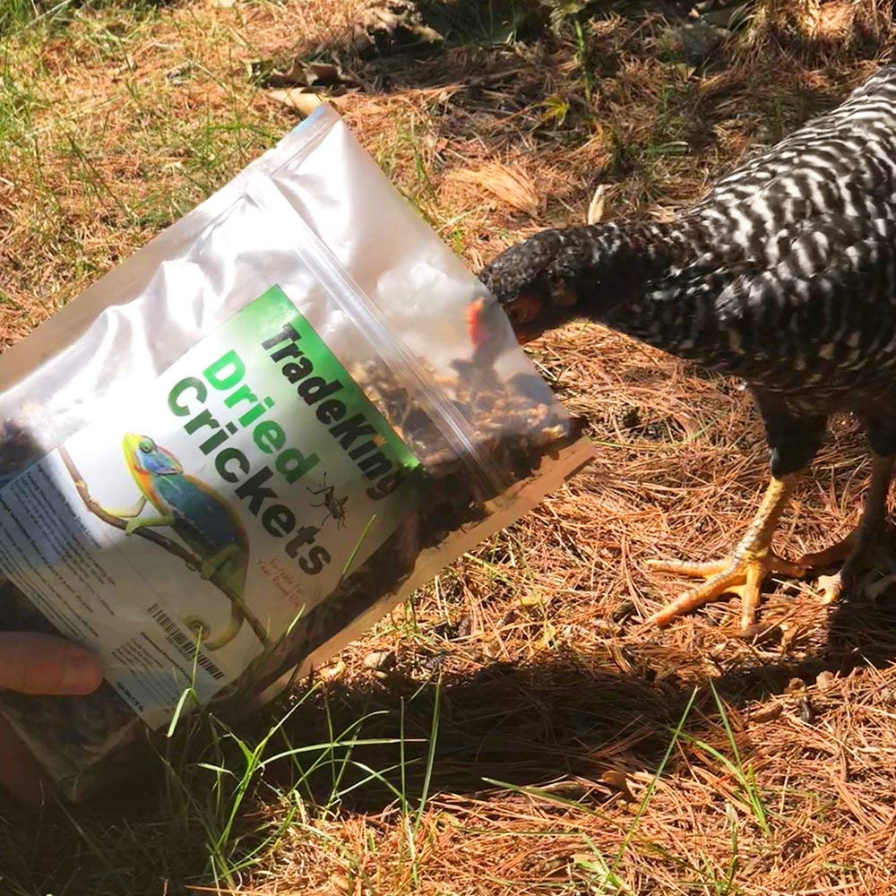 TradeKing odor-free dried crickets bag: clean storage and odor control
