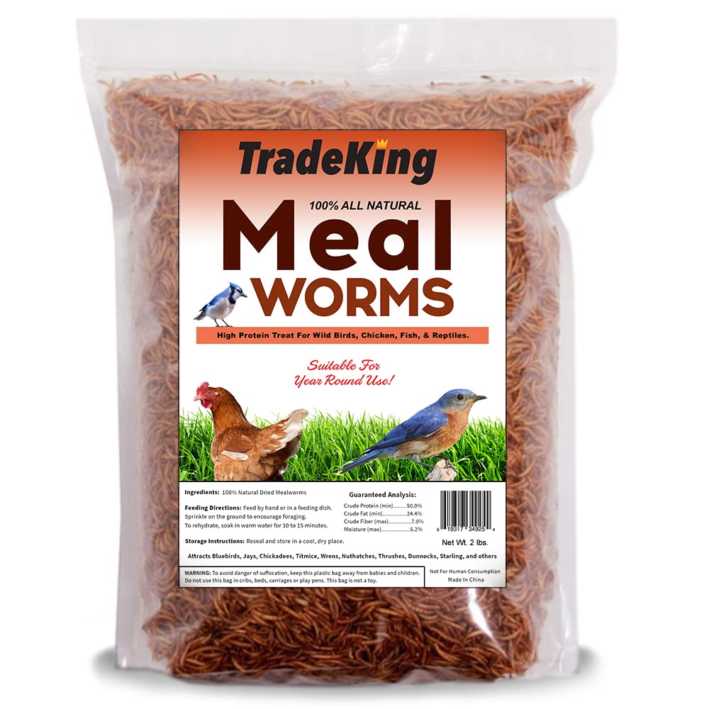 TradeKing dried mealworms in stand-up bag—convenient, protein-rich bird treats.