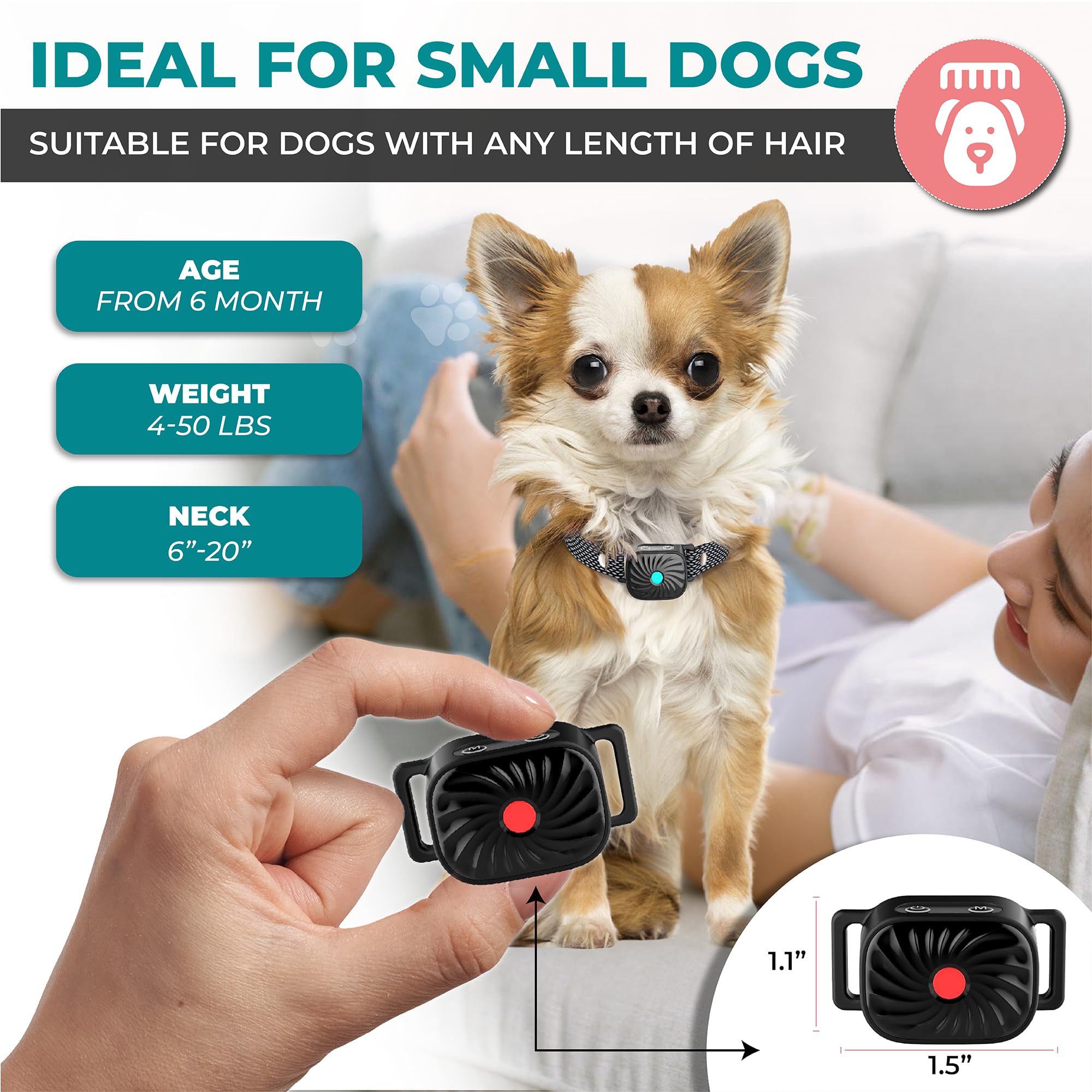 TrainTail bark collar indoor-outdoor versatility: ideal for everyday training at home or park.