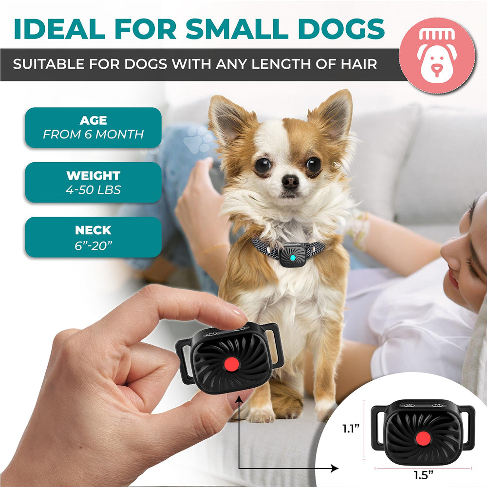 TrainTail bark collar indoor-outdoor versatility: ideal for everyday training at home or park.