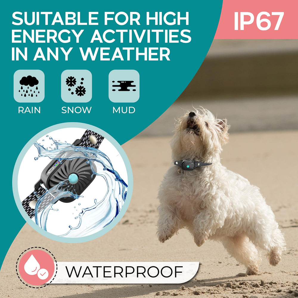 TrainTail bark collar rechargeable battery: long-lasting power for days of use between charges.