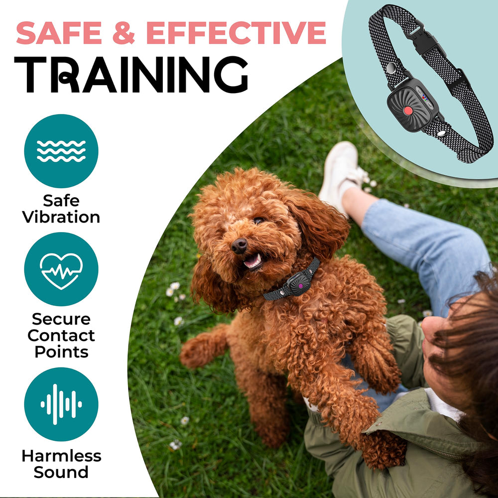 TrainTail bark collar vibration levels: four gentle options tailor training to your dog's response.