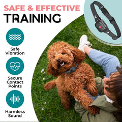 TrainTail bark collar vibration levels: four gentle options tailor training to your dog's response.