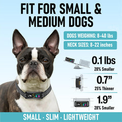 TrainTail No-Shock Bark Collar 5-sensitivity-dials customize dog responses precisely