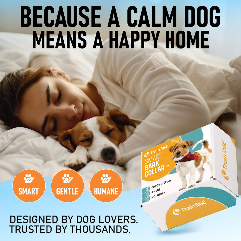 TrainTail No-Shock Bark Collar ip67-waterproof handles rain, snow, and splashes