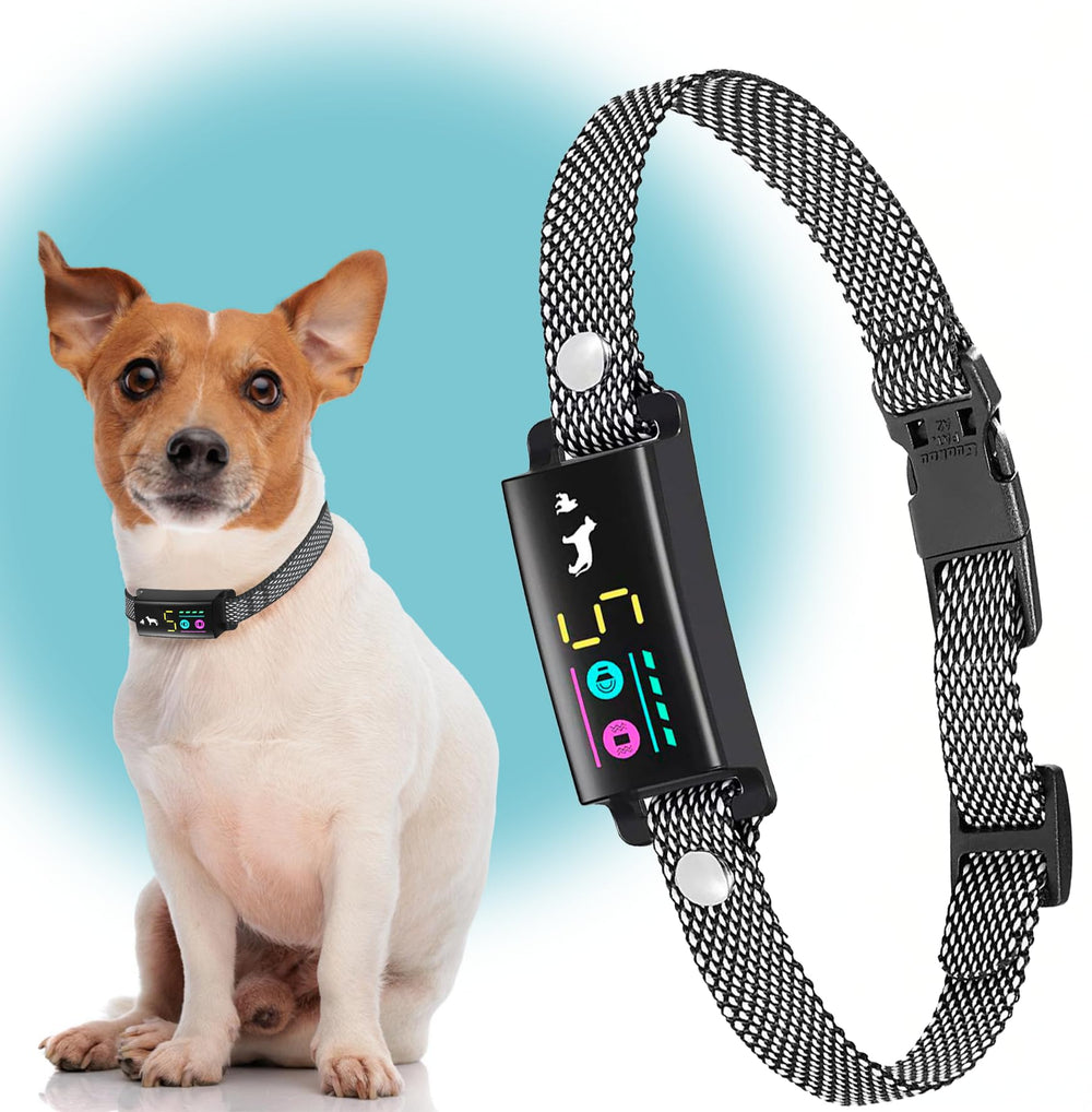 TrainTail No-Shock Bark Collar small-dog receiver for gentle training and barking control