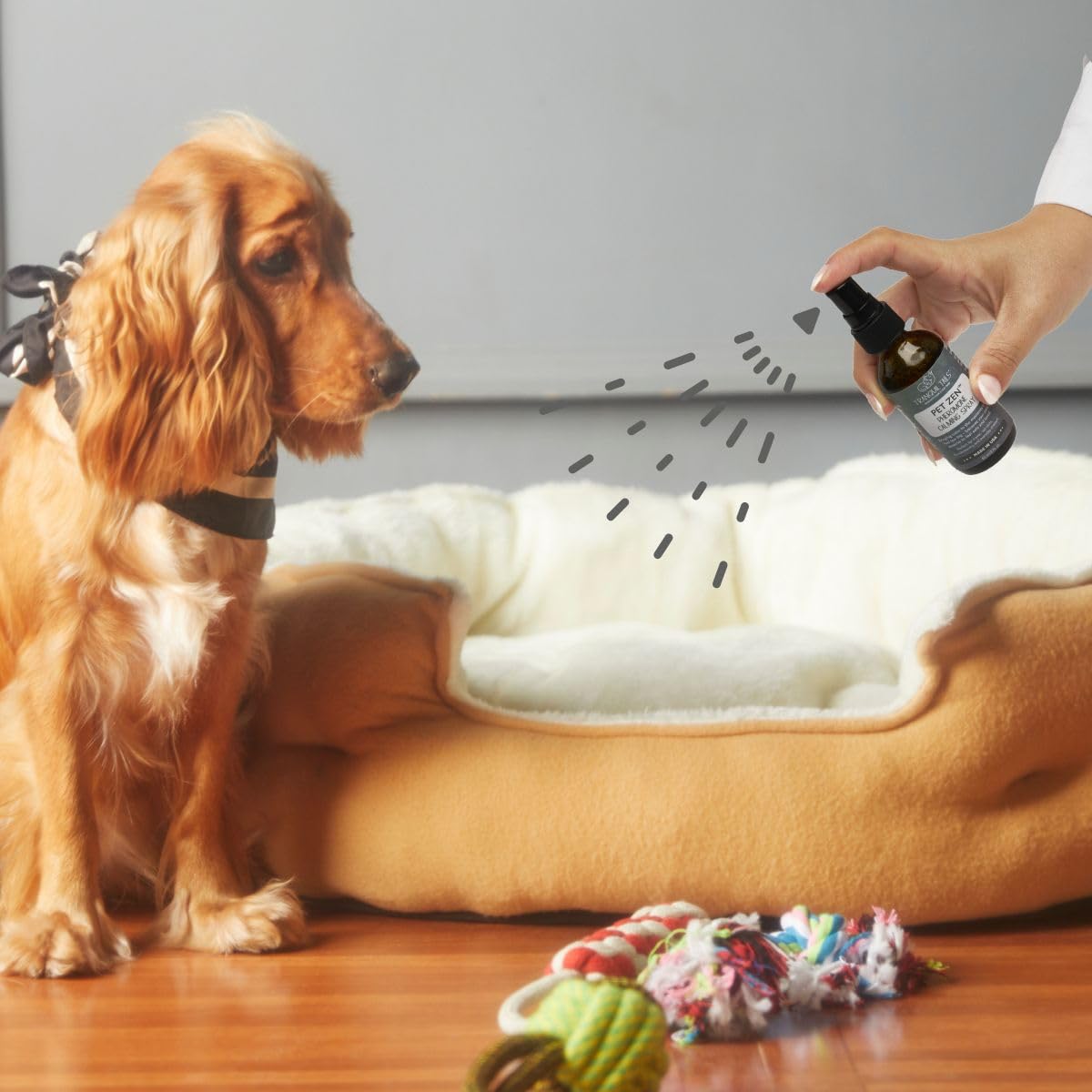 Tranquil Tails Pet Zen on a dog carrier for stress relief