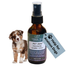 Tranquil Tails Pet Zen spray bottle close-up for quick calming support