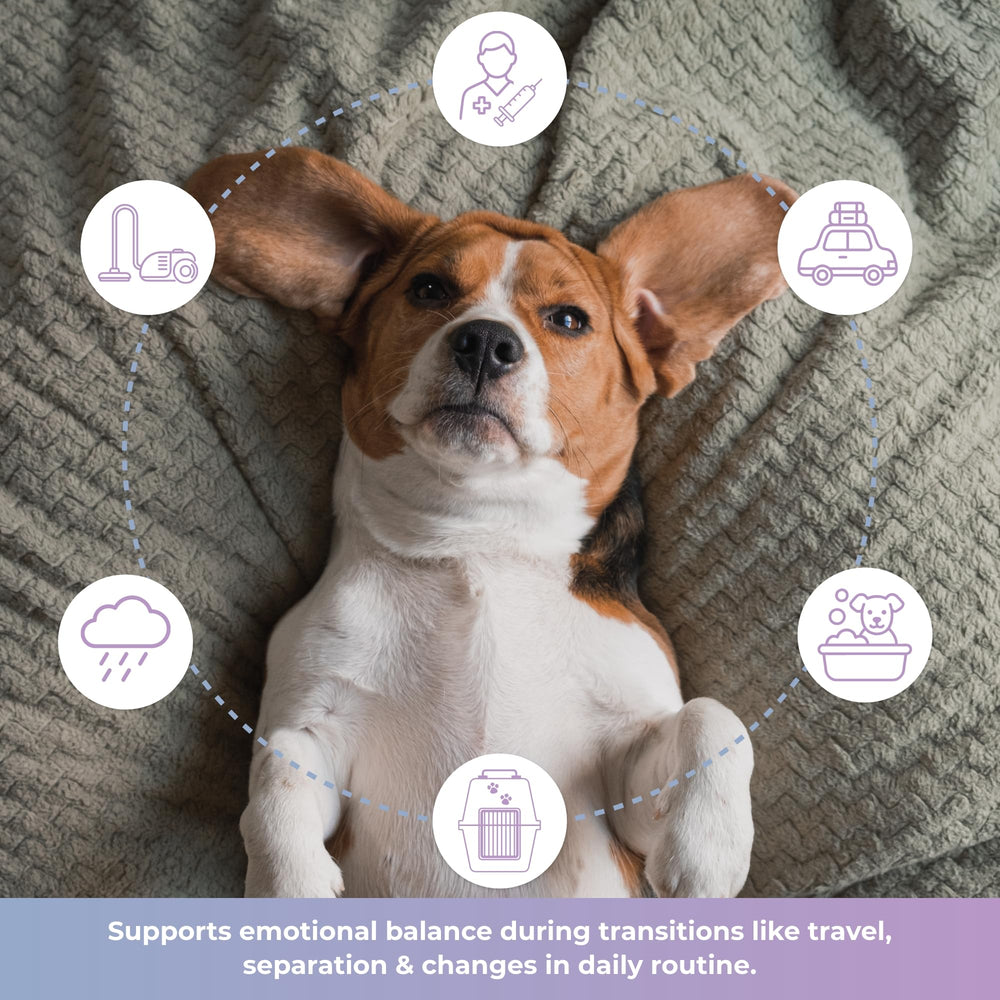 Tranquillium calming chews packaging featuring gluten-free label for sensitive pets