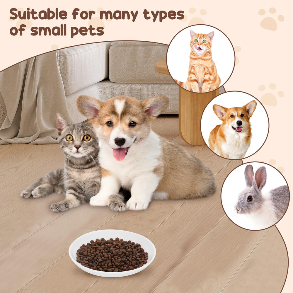 Regalo ideal TranRantic para dueños de gatos y cachorros con estilo.