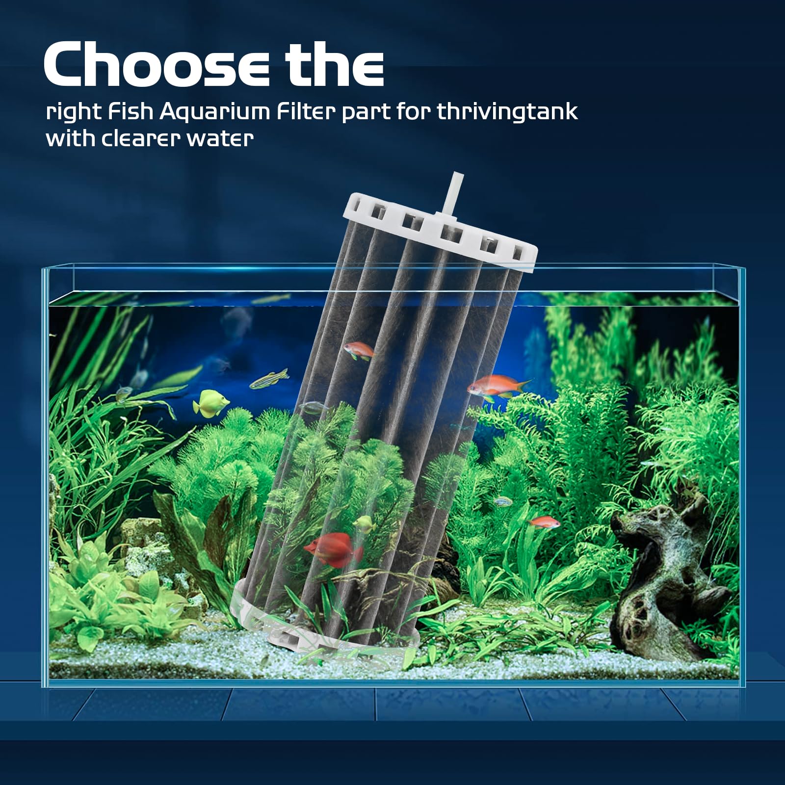 Trdzi aquarium water-cleaning image illustrating waste filtration in home tanks.