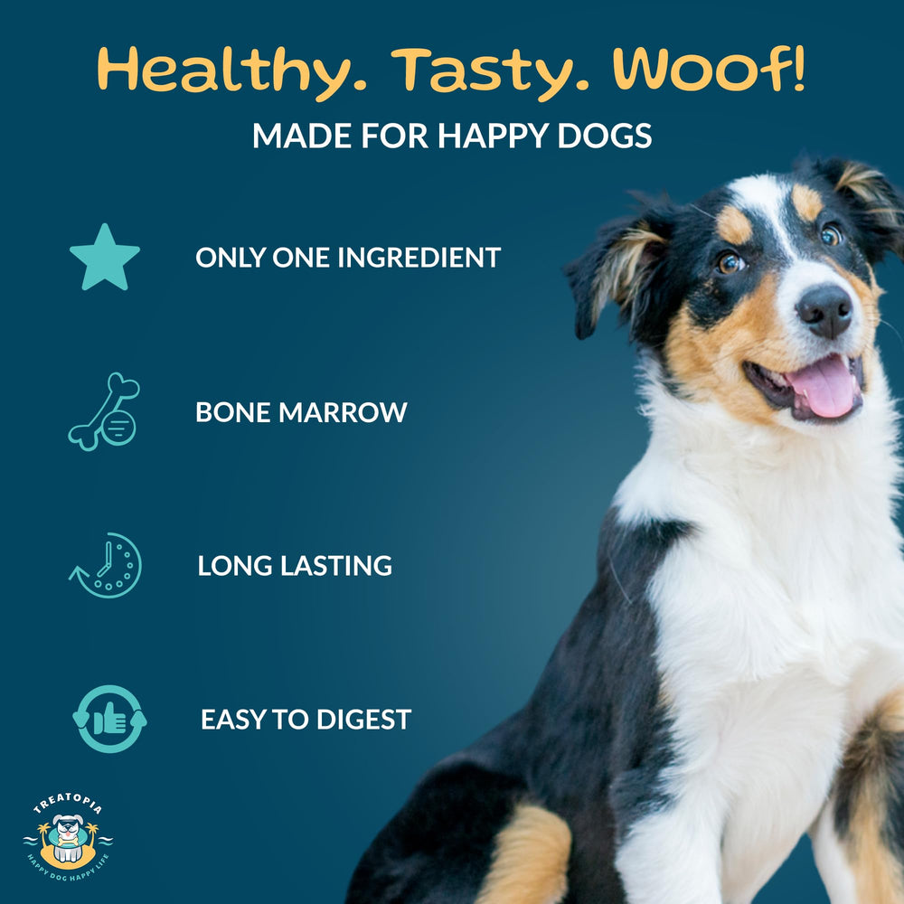 Treatopia Adventure Beef Marrow Dynamo 3in dog-chewing illustrates a durable, flavorful chew