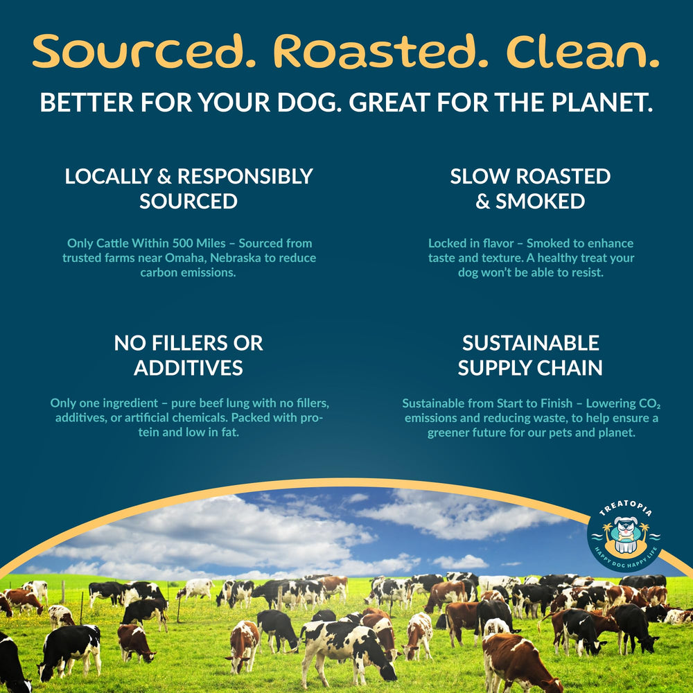 Treatopia Adventure Beef Marrow Dynamo 3in slow-roast reveals rich aroma