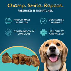 TREATOPIA Adventure Dog Bones bone-marrow closeup highlighting rich flavor and marrow-filled center