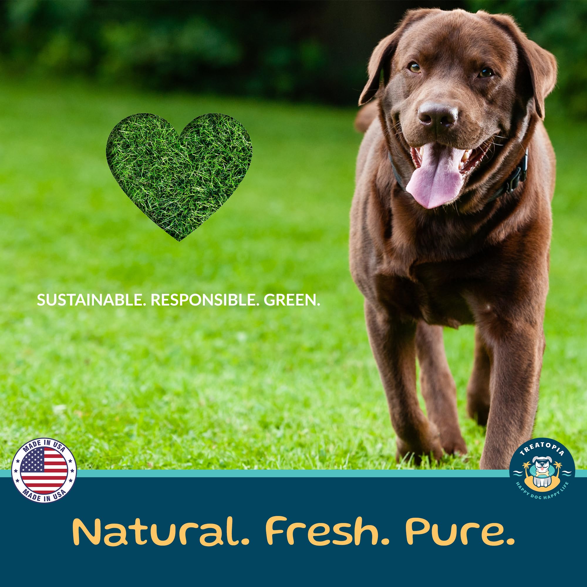 TREATOPIA Adventure Dog Bones naturally nutritious chew for playtime and post-meal satisfaction