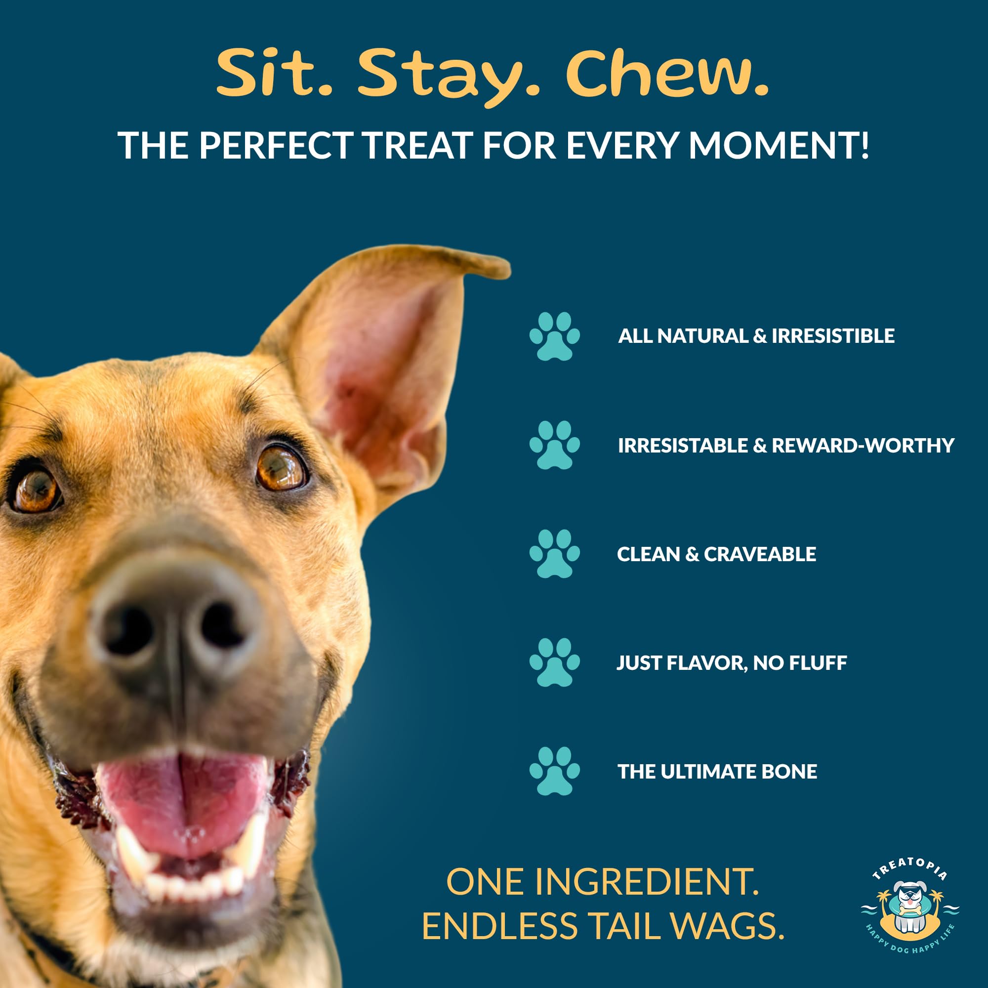 TREATOPIA Adventure Dog Bones single-ingredient focus for simple, natural chewing