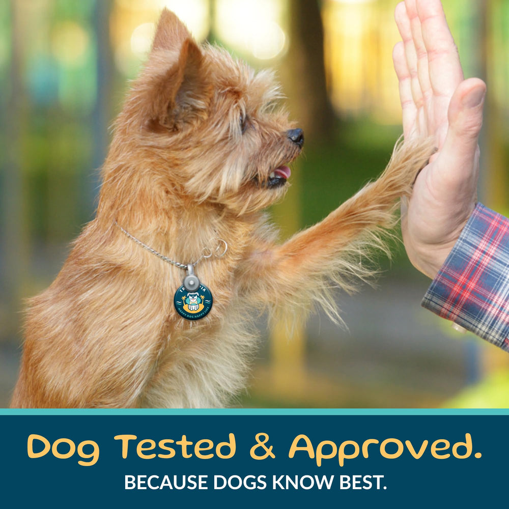 TREATOPIA high-protein, low-fat treat image with healthy dog energy and lean muscle support.