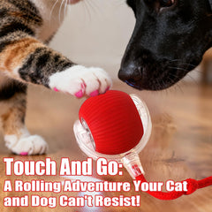 Treayes smart ball with obstacle avoidance for safe indoor play.